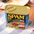 世棒（SPAM）清淡味午餐肉罐头340g 美国进口第3张高清大图