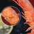 富达亿品北极甜虾500g 60-80只/袋 海鲜水产 解冻即食 日料刺身 已通过核酸检测第6张高清大图