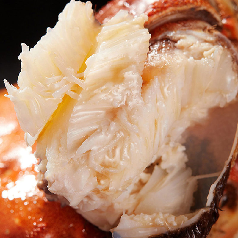 阳澄优选阳澄湖大闸蟹公蟹40两8只膏似玉锦肉质嫩滑