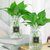 3个9.9元 加厚玻璃花瓶透明北欧ins风创意水培植物绿萝水养插花器(24折纸（2个）烟灰 中等)第3张高清大图