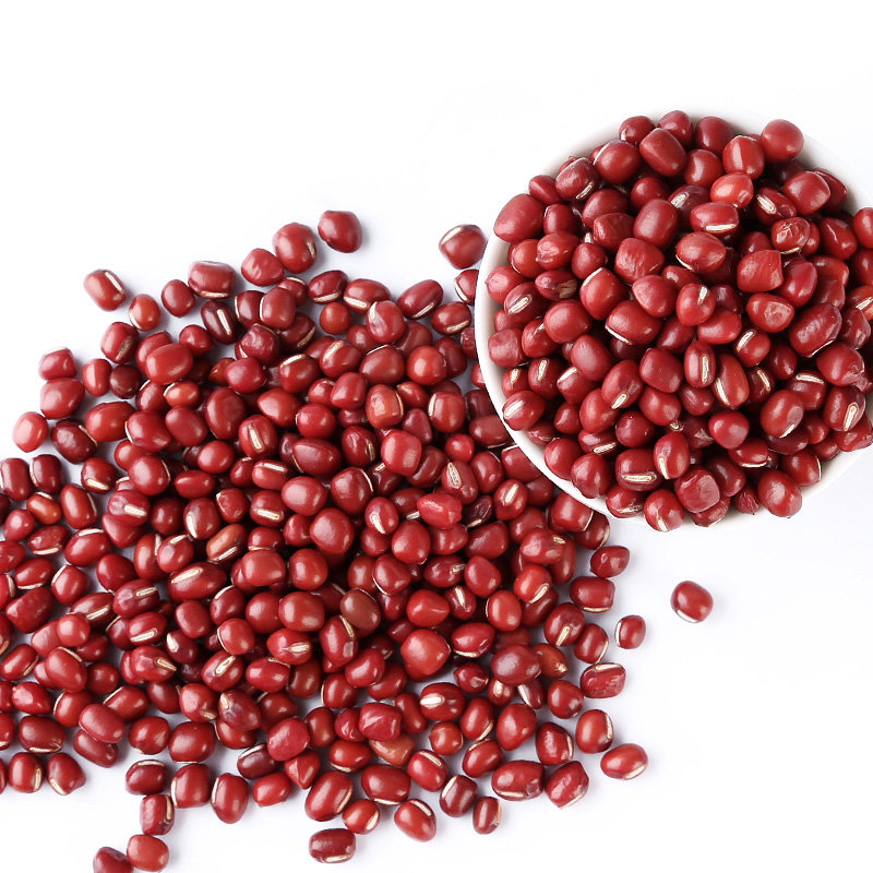 敖纯 有机红小豆 530g 红豆 小红豆 产自曾获得全球环境500佳奖敖汉旗