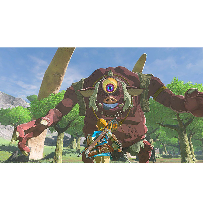 nintendo switch 游戏实体卡带 国行主机 港版 日版通用(塞尔达传说