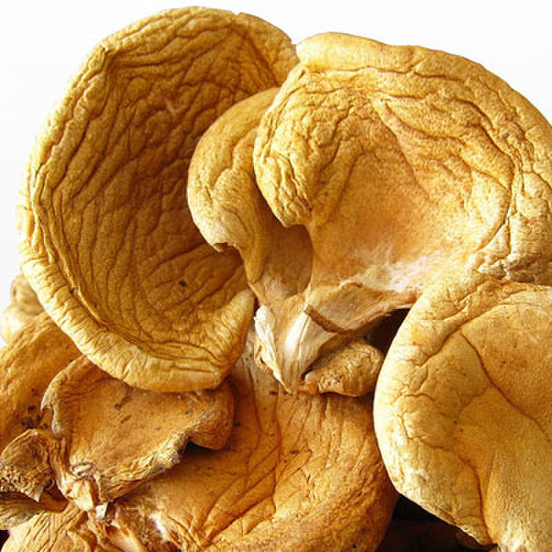 乐自然元蘑 正宗长白山元蘑