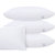 帝堡龙DIBAOLONG轻奢床上用品 五星级酒店全棉枕头 健康舒适单双人枕芯(1 默认)第2张高清大图