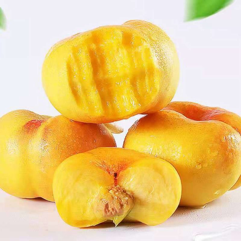 鲁甄国美真选山东蒙阴沂蒙山彩虹蟠桃毛蟠桃455斤装新鲜多汁鲜甜可口