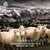 AUSGOLDEN拉穆尔心型羊毛靠枕-粉色 33*40cmLAM0203-P 澳洲进口长羊毛 皮毛一体 手工制作第5张高清大图