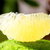 誉福园广西皇帝柑 新鲜柑橘 3斤大果（60-65mm） 皮薄易剔 口感清甜 纯甜多汁第3张高清大图