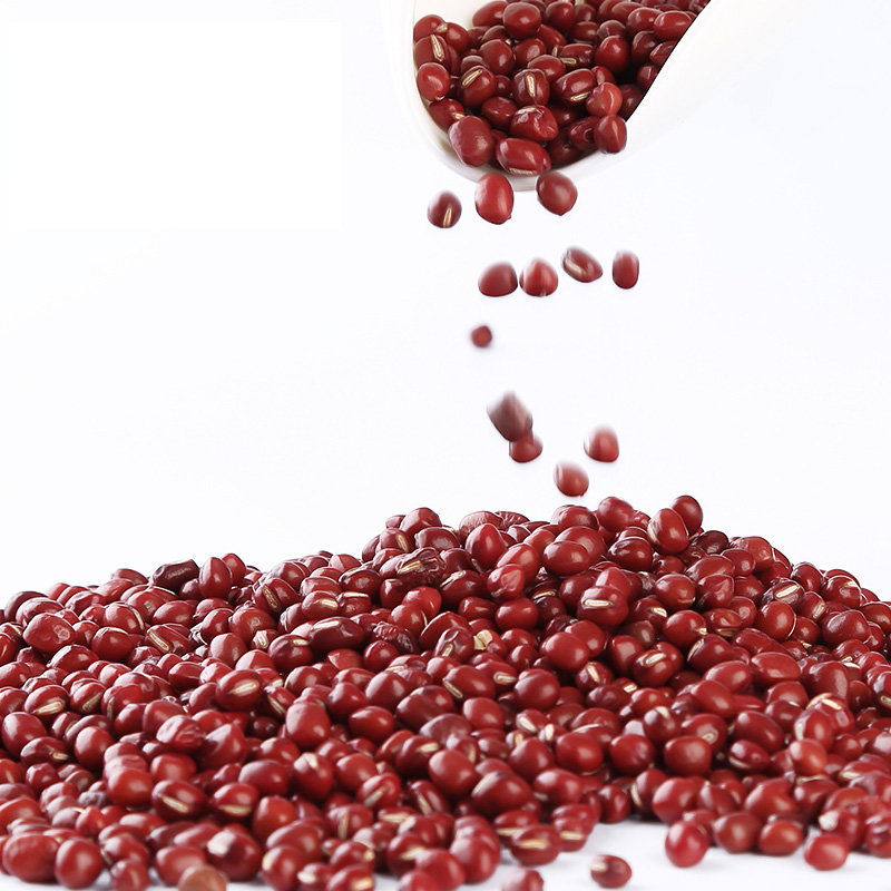 敖纯 有机红小豆 530g 红豆 小红豆 产自曾获得全球环境500佳奖敖汉旗