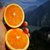九月红脐橙5斤净重包邮现摘现发当季水果酸甜可口(九月红脐橙16-18个-5斤)第4张高清大图