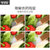 欧麦斯（OUMAISI）X5洗菜机家用全自动果蔬净水果蔬菜农残清洗(土豪金)第3张高清大图