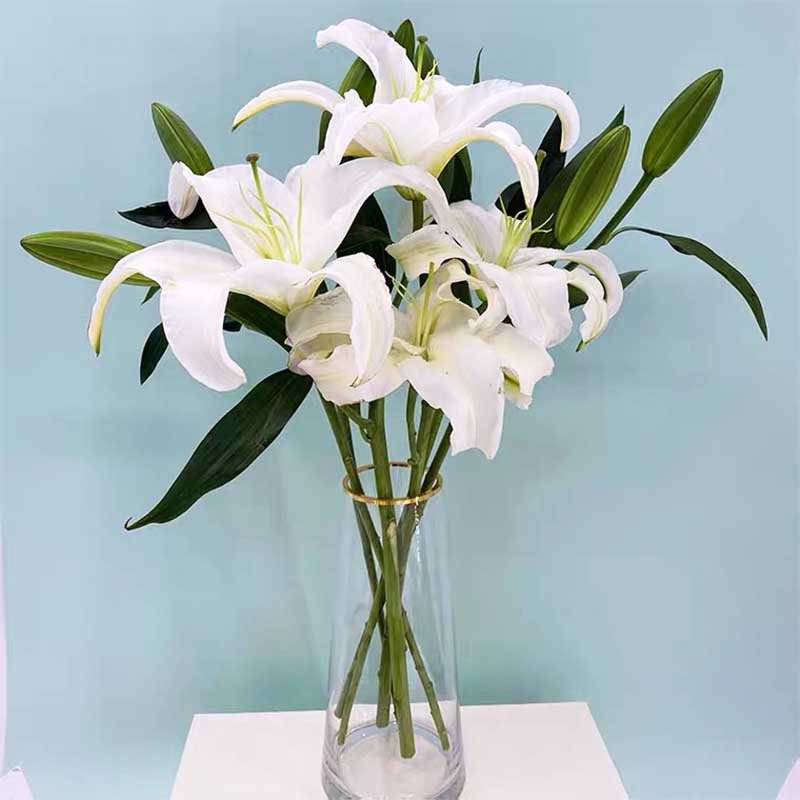 鲜花猫香水百合鲜花昆明产地直发白色10个花苞