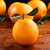 静奶奶江西赣南脐橙 10斤装(净果9斤左右） 果径60-70mm 应季鲜果第4张高清大图