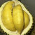 榴莲带壳整个新鲜水果(AAA品质)第3张高清大图