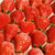 国美真选 顺丰空运 丹东99红颜草莓中果2斤装（单果15g-25g 净重1.8斤+）  应季奶油红颜第3张高清大图