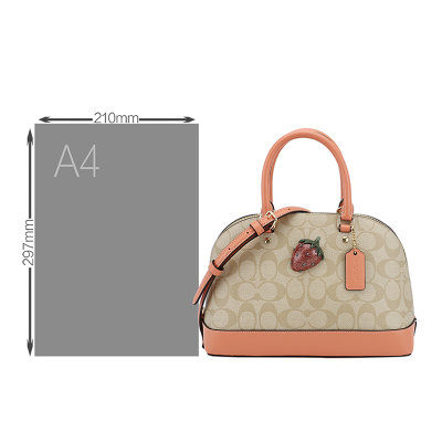 COACH 蔻驰奢侈品女包 新款时尚贝壳包 手提包 斜挎包 F72752(彩色)