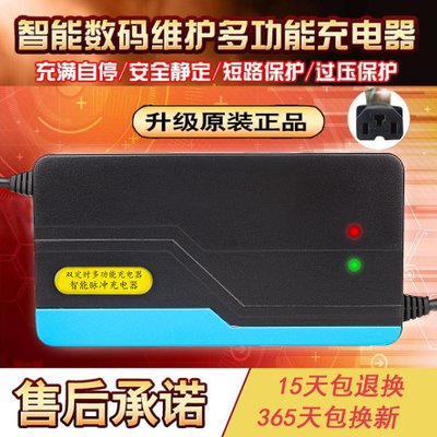 电动车电瓶充电器48V12AH60V20AH64V72V