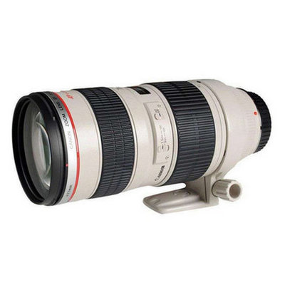 佳能（Canon）EF 70-200mmf/2.8L USM 远摄变焦镜头(套餐三)