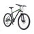 XD690意大利TRUBBIANI 途比安尼 *自行车 超好骑行角度 国内总代理(钛色)第2张高清大图
