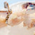 至鲜天然海捕梭子蟹1300G 5-6只（公蟹） 开捕季新品 鲜活液氮速冻 饱满厚实第3张高清大图