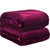 纯色加厚四季通用毛毯 空调毯 盖毯 午休毛毯子(紫罗兰)第3张高清大图