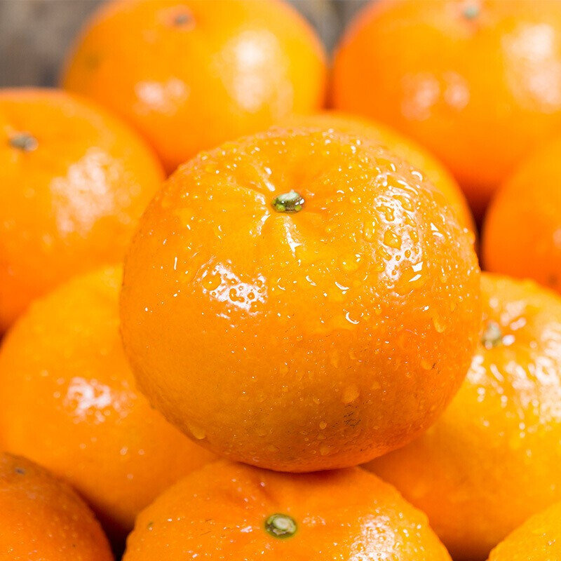 吥吥果园福建茂谷柑脏脏柑净重3斤装单果6065mm香甜细嫩多汁爽口