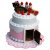 HELLOKITTY 凯蒂猫 生日蛋糕屋 过家家玩具 290482第3张高清大图