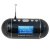 熊猫（Panda）DS-170 插卡音箱 收录机 MP3播放器WAV歌词【包邮】(黑色)第3张高清大图