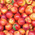 我老家红油桃 赤眉黄心脆桃 新鲜水果 生鲜 5斤精选装 单枚90-100g 产地果园直发，新鲜应季，浓浓果香第5张高清大图