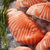 美威智利原味三文鱼排(大西洋鲑)240g 袋装 4片 含Ω3 BAP认证 生鲜 海鲜水产第5张高清大图