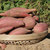 六鳌红薯 5斤 新鲜蔬菜 蜜薯富硒 地瓜农家山芋沙地 香薯红心番薯第4张高清大图