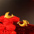 CNUTI粤通国际珠宝 黄金耳钉 足金女款小海豚耳饰 黄金饰品 约2.05/对第4张高清大图