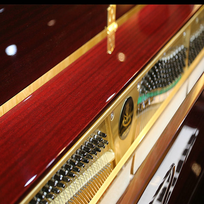 全新澳大利亚进口德国schramm&sons舒楠sa-125rd 高端成人初学者