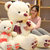 爱尚熊毛绒玩具泰迪熊布娃娃抱枕玩偶抱抱熊玩具 紫围巾熊80cm 国美超市甄选第7张高清大图