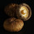 北大荒绿野香菇150g 东北菌菇蘑菇肉厚无根炖汤煲汤火锅食材东北特产山珍干货第7张高清大图