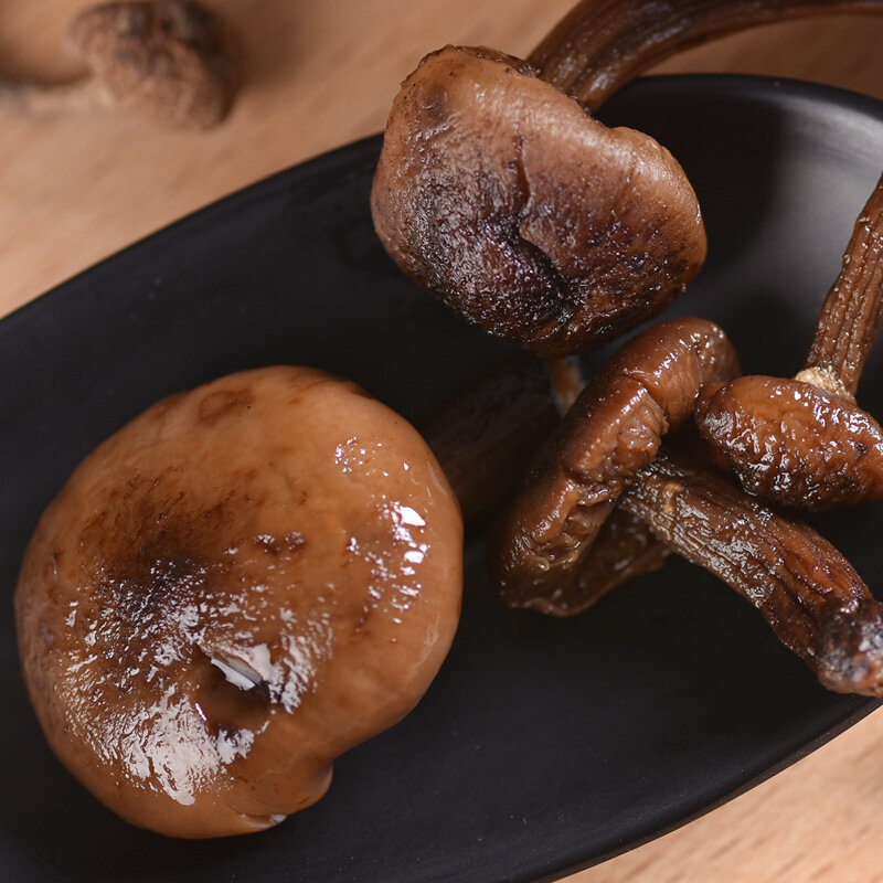 素养生活有机榛磨70g野生榛蘑干蘑菇山珍菌菇食用菌干货东北特产