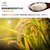 沙垦庄园   羊脂籽米 新疆大米 长粒香米 盒装4kg  万寿赋特惠提供第3张高清大图
