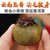 润虎普洱220g  桔普茶 橘普茶柑桔茶（25颗）第3张高清大图