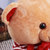 zak!毛绒玩具 宝宝玩偶布娃娃25cm 泰迪熊 国美超市甄选第8张高清大图