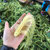 广西新鲜玉米笋带皮 新鲜果蔬 2.5kg第2张高清大图