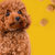 疯狂的小狗小型犬全价狗粮10kg 国美超市甄选第5张高清大图