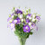 【鲜花猫】洋桔梗鲜花速递每周一花昆明产地直发(紫色 15-20个花头)第4张高清大图