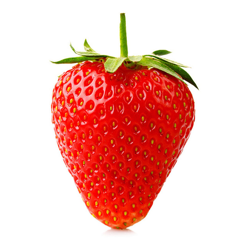 杞农优食山东沂源甜宝草莓牛奶草莓约15kg装单果20g顺丰包邮个大饱满