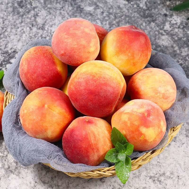 福瑞鲜金秋红蜜脆桃山东冬桃现摘现发脆软两吃甜脆桃子整箱445斤445斤