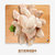 赤豪奥尔良鸡翅中500g*2 包 冷冻鸡翅中 经典奥尔良口味  烹饪简单第5张高清大图