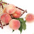泰美农山东肥城水蜜桃约5斤8-12个装 个大皮薄 白里透红第6张高清大图
