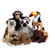 国家地理国家地理NG雨林系列 小熊猫 15cm毛绒玩具仿真动物 国美超市甄选第4张高清大图