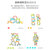 Hape形状配对淘气猫消消乐积木亲子互动益智玩具 E84723-6岁 国美超市甄选第3张高清大图