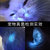 WARSUN伍德氏灯WL01 照猫藓灯宠物紫光手电筒紫外线真菌荧光剂猫尿廯灯第6张高清大图