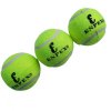 乐士ENPEX训练用网球（3只装）