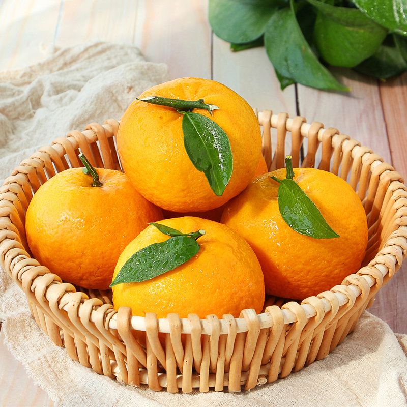 静奶奶四川眉山青见柑橘5斤装单果6570mm产地直发应季鲜果新鲜上市现